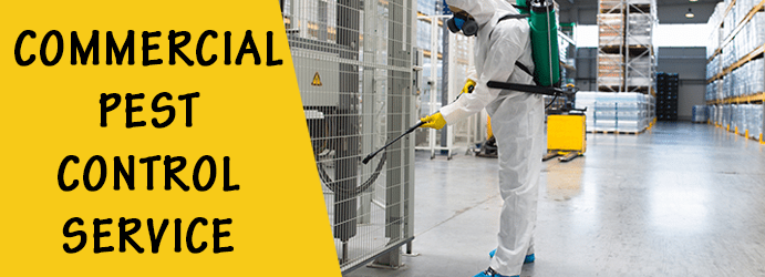 Commercial Pest Control Service in Rheola