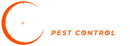 Same Day Pest Control - Pest Control Brisbane
